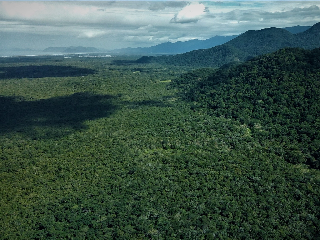 Saída pedagógica Bertioga (ecossistemas litorâneos)