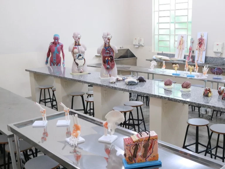 Saída pedagógica Laboratório de Anatomia Humana