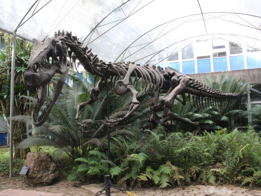 Saída pedagógica Museu de Geologia da USP